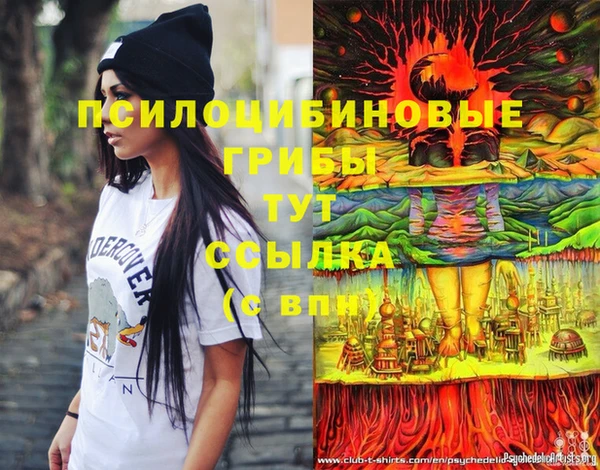 стаф Абдулино