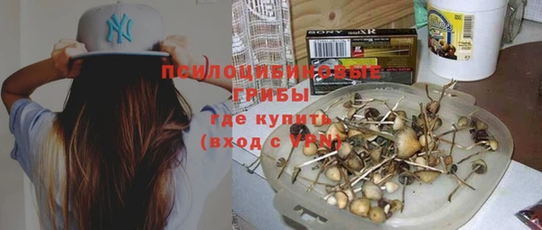 стаф Абдулино