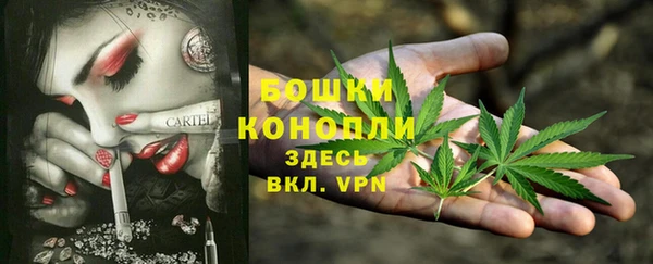 стаф Абдулино