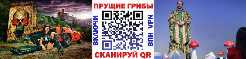 купить   Серафимович  MEGA ССЫЛКА  Галлюциногенные грибы Psilocybe 